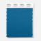 Pantone Polyester Swatch 19-4221 Blue Tinctur