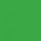 Pantone TPG Sheet 16-6340 Classic Green