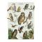 Decorative Wrap 20 X 28 Owl Chart