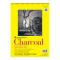 Strathmore 300 Charcoal Pad White 9X12 Wire