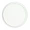 Panpastel Pearl Medium- Fine White