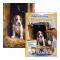 R&L Small Paint by Numbers Jr. Beagle Puppy