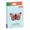 SR Wall Decoration Small Delias Butterfly