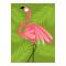 Great Arrow Card: Pink Flamingo (Blank)